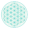 Flower of Life Neon Pattern