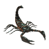 Scorpion