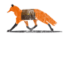 Tiere Fuchs