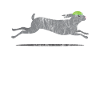 Animaux lapins