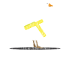Animals duck