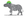 Animals Rhinoceros