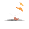 Animals duck