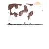 Tiere Kuh