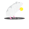 Tiere Ratte und Käse
