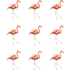 Flamingo parade