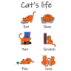 cat's life1