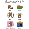 hamster's life