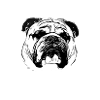 Bulldog ... a true friend