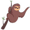 sloth