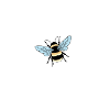 Beautiful bee