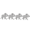 the koalas