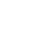 Yin Yang cat