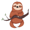 sloth