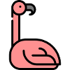 A beautiful, cute flamingo.