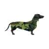 Camouflage forêt Teckel (0067)
