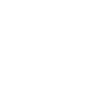 Veterinarian vet