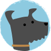 Sweet dog - dog lover