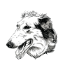 Hunde - Barsoi