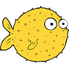 Puzzled puffer fish