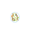 Cellfie Time