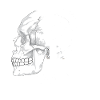 skull