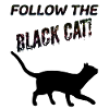 Black Cat