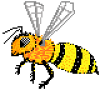 abeille