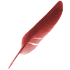 feather