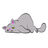 Tired cat