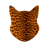 Katze Leopardenmuster