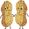 Two peanuts
