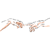 Michelangelo