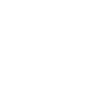 Wild west logo