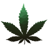 green marijuana leaf