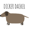 Fat dachshund cute dog