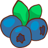 Blueberry Besing Blueberry Blackberry Veggie