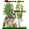 wolf 2