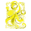 Octopus octopus octopus underwater sea
