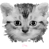 Sweet Cat - Cat Head