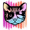 Cat with sunglasses