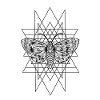 Moth geometry