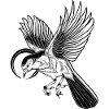 Bird - illustration