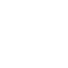 Éléphant polygone