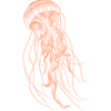 Conception de méduses