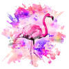 Chemise Flamingo