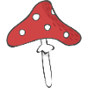 fly agaric