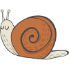 snail