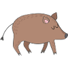 wild boar