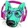 Dog with headphones